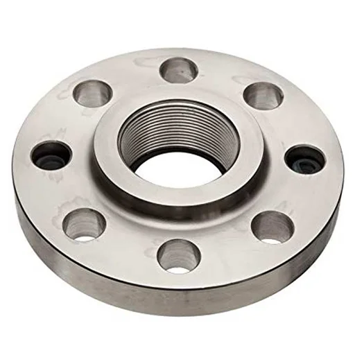 SS 304L Threaded Flanges